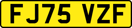 FJ75VZF