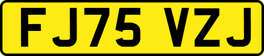FJ75VZJ
