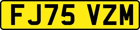 FJ75VZM