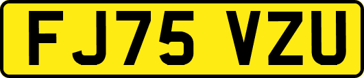FJ75VZU