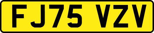 FJ75VZV