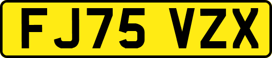 FJ75VZX