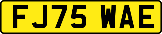 FJ75WAE