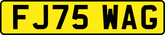 FJ75WAG