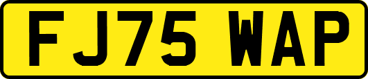 FJ75WAP