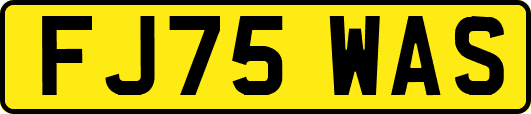 FJ75WAS