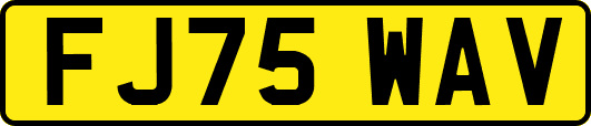 FJ75WAV