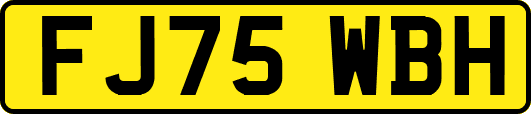 FJ75WBH