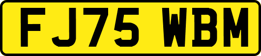 FJ75WBM