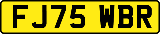 FJ75WBR