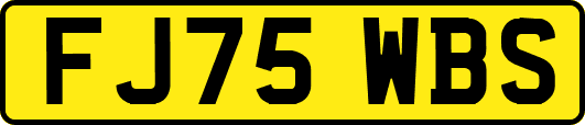 FJ75WBS