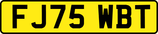 FJ75WBT