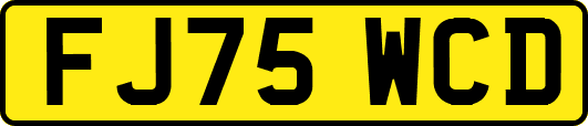 FJ75WCD