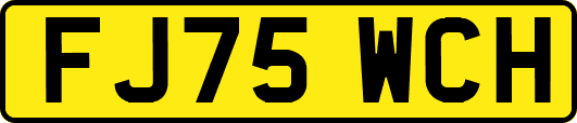 FJ75WCH