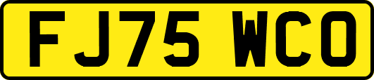 FJ75WCO