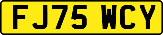 FJ75WCY