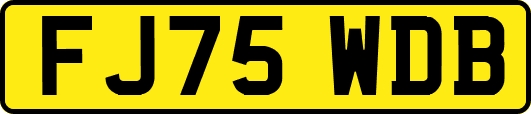 FJ75WDB