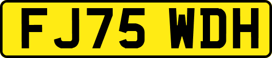 FJ75WDH