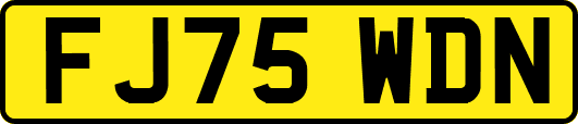 FJ75WDN