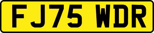 FJ75WDR