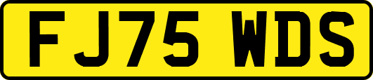 FJ75WDS