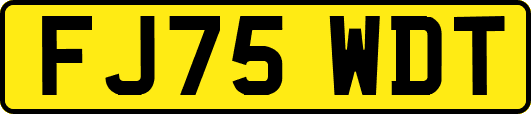 FJ75WDT
