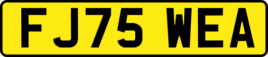 FJ75WEA