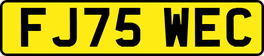 FJ75WEC