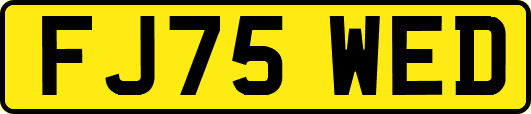 FJ75WED