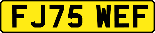FJ75WEF