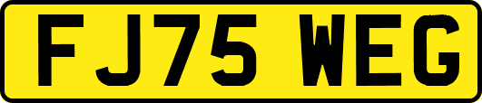 FJ75WEG