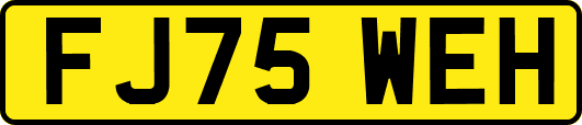 FJ75WEH