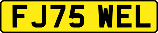 FJ75WEL