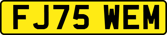 FJ75WEM