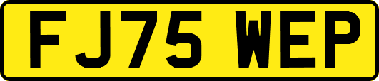 FJ75WEP