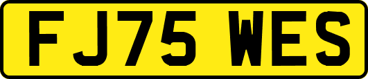 FJ75WES