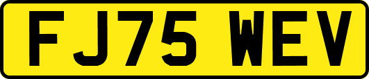 FJ75WEV