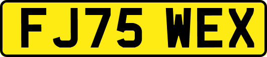 FJ75WEX