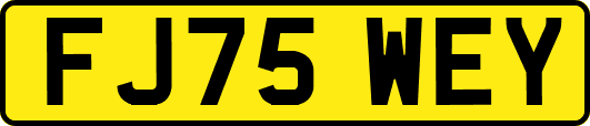 FJ75WEY
