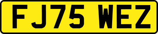 FJ75WEZ