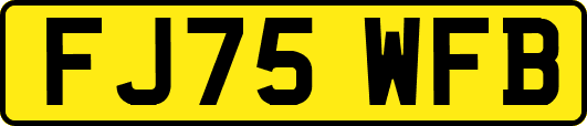 FJ75WFB