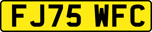 FJ75WFC
