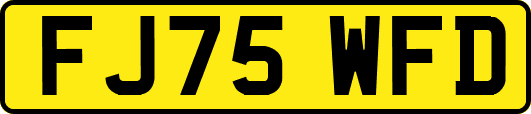 FJ75WFD