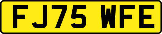 FJ75WFE