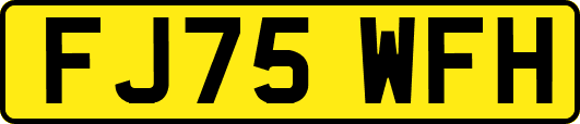 FJ75WFH