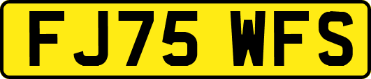 FJ75WFS