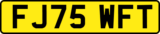 FJ75WFT