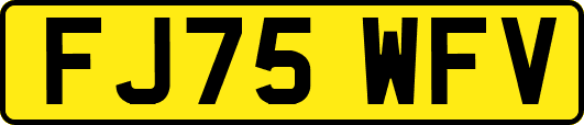 FJ75WFV