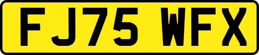 FJ75WFX