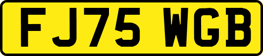 FJ75WGB